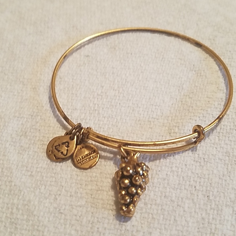 Alex and Ani Gold Grapes Charm Bracelet
